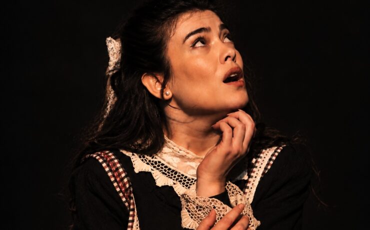 Çalıkuşu: Kendi sesini kuran bir kadın